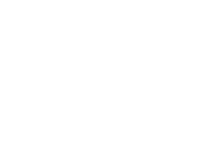 Illustration blanche de poulet sur fond blanc.